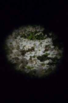 Estuary documentary poster