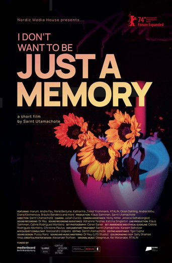 I Don’t Want to Be Just a Memory documentary poster