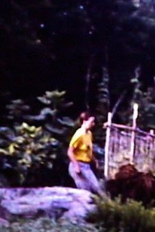 Monterey '84 documentary poster