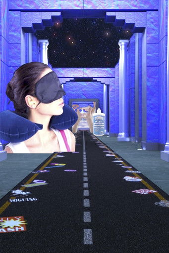 Global Windshield, The Musical documentary poster