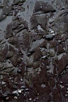 Blue Suns documentary poster