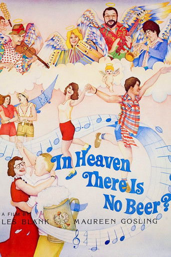 In Heaven There Is No Beer? documentary poster