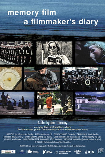 Memory Film: A Filmmaker's Diary documentary poster