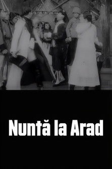 Nuntă la Arad documentary poster