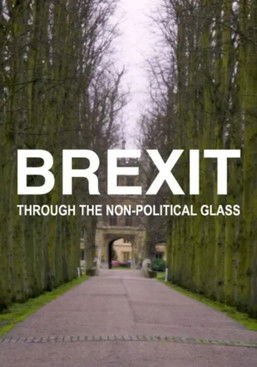 Brexit Through the Non-political Glass documentary poster