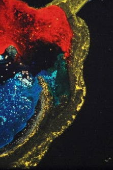 Intransit documentary poster