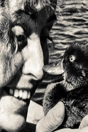 Viggen Viggo documentary poster