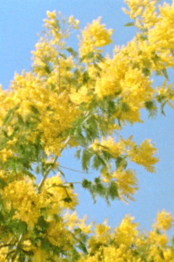 Mimosen im Wind documentary poster