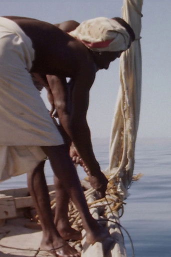 Hauling Sharks documentary poster