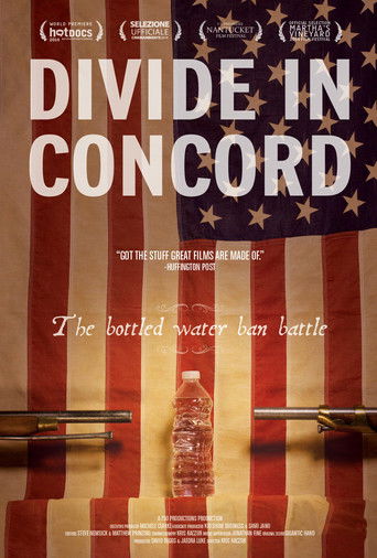 Divide In Concord documentary poster