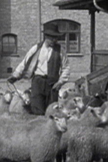 Landbrug i Danmark documentary poster