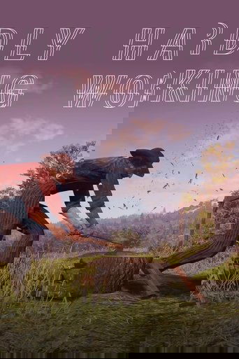 Hardly Working poster