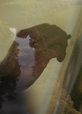 The Nature of Creativity documentary poster