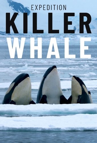 Expedition Killer Whale documentary poster