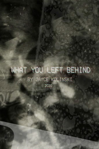 What You Left Behind documentary poster