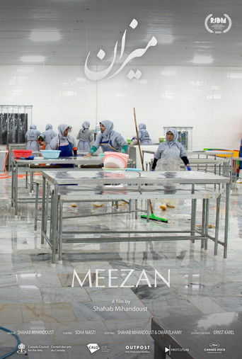 Scale documentary poster