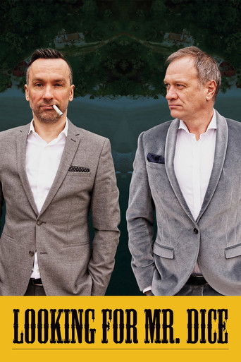 Looking for Mr. Dice documentary poster