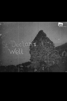 St. Declan's Well documentary poster