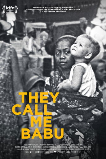They Call Me Babu documentary poster