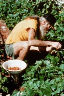 Dirt documentary poster