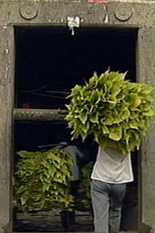 Tulou, My Home documentary poster