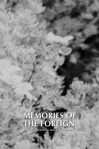 Memories of the Foreign documentary poster