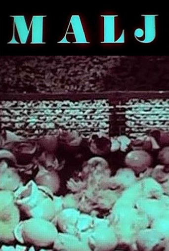 The Mallet documentary poster