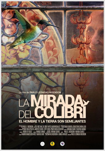 La mirada del colibrí documentary poster