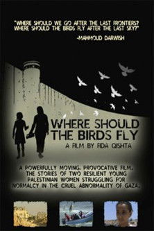 Where Should the Birds Fly? documentary poster