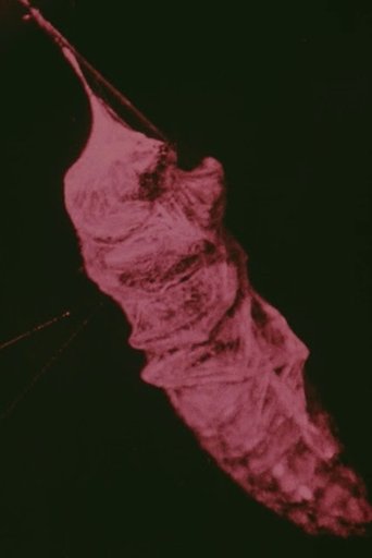 The Habits of Field Spiders documentary poster