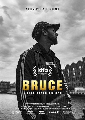 Bruce documentary poster