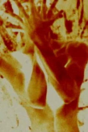 The Red Thread documentary poster