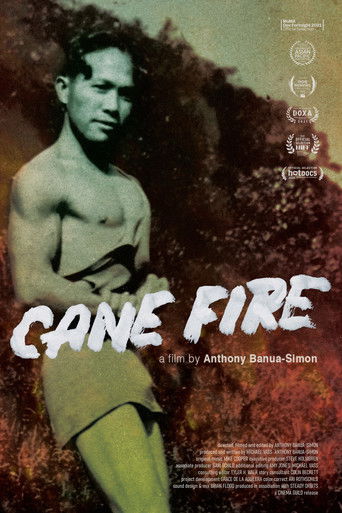 Cane Fire documentary poster