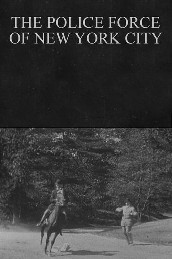 The Police Force of New York City documentary poster