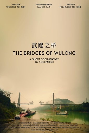 The Bridges Of Wulong documentary poster