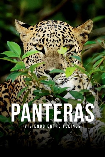 Panteras: viviendo entre felinos documentary poster