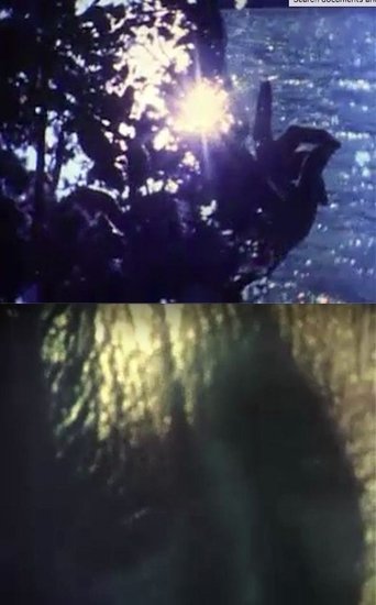 Blanche documentary poster