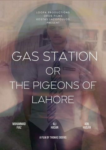 The Pigeons of Lahore documentary poster