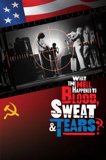 What the Hell Happened to Blood, Sweat & Tears? documentary poster