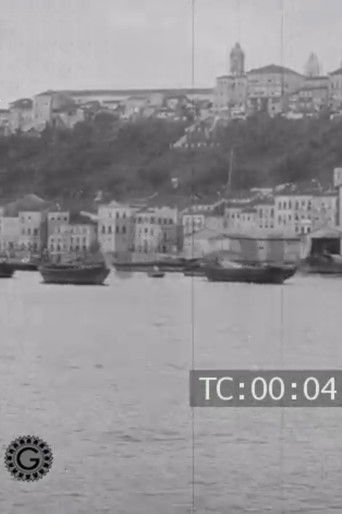 The city of Bahia and its surroundings documentary poster