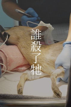 Who Killed It? documentary poster