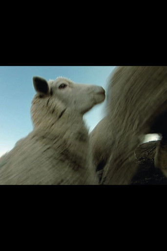 High Trail documentary poster