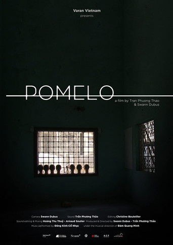 Pomelo documentary poster
