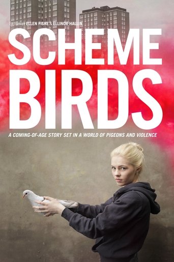 Scheme Birds documentary poster