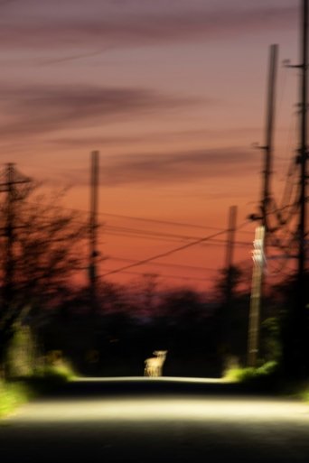 Specters of Watch Oak documentary poster