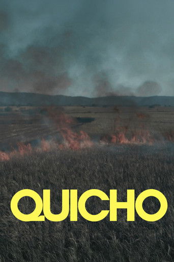 Quicho documentary poster