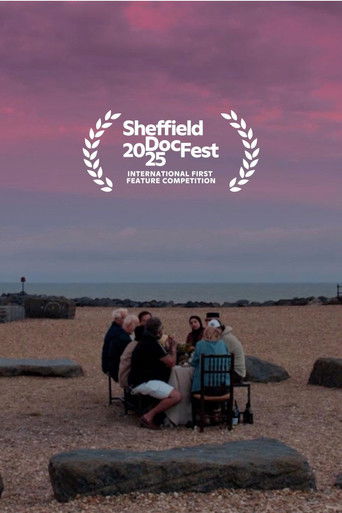 Blue Has No Borders documentary poster