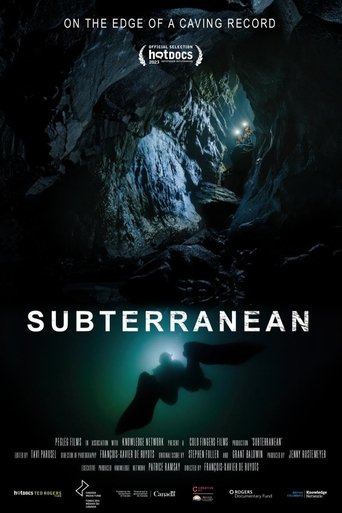 Subterranean documentary poster