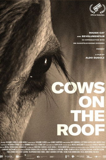 Cows on the Roof documentary poster