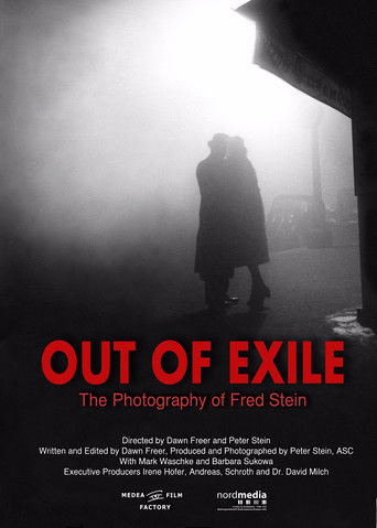 Out of Exile: The Photography of Fred Stein documentary poster